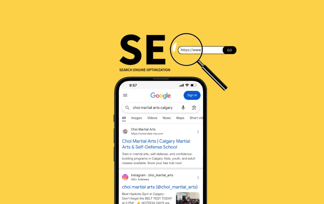 Professional SEO Services - Search Engine Optimization